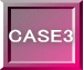 CASE3 